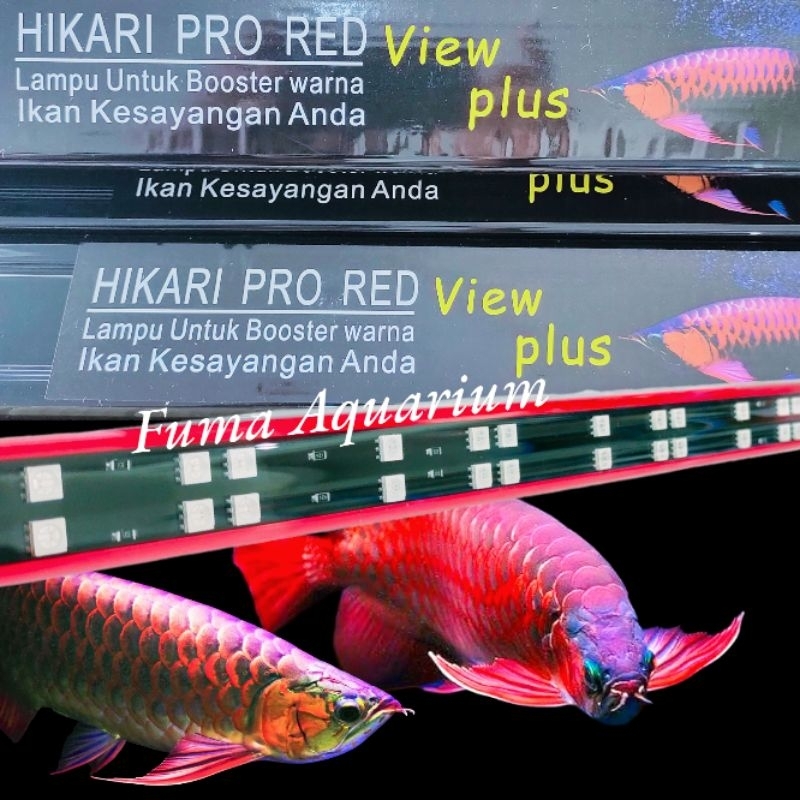 LAMPU LED CELUP HIKARI PRO RED VIEW PLUS 800 SPESIAL RED BOOSTER ARWANA KOI KOKI CHANNA dll. Lampu Tanning