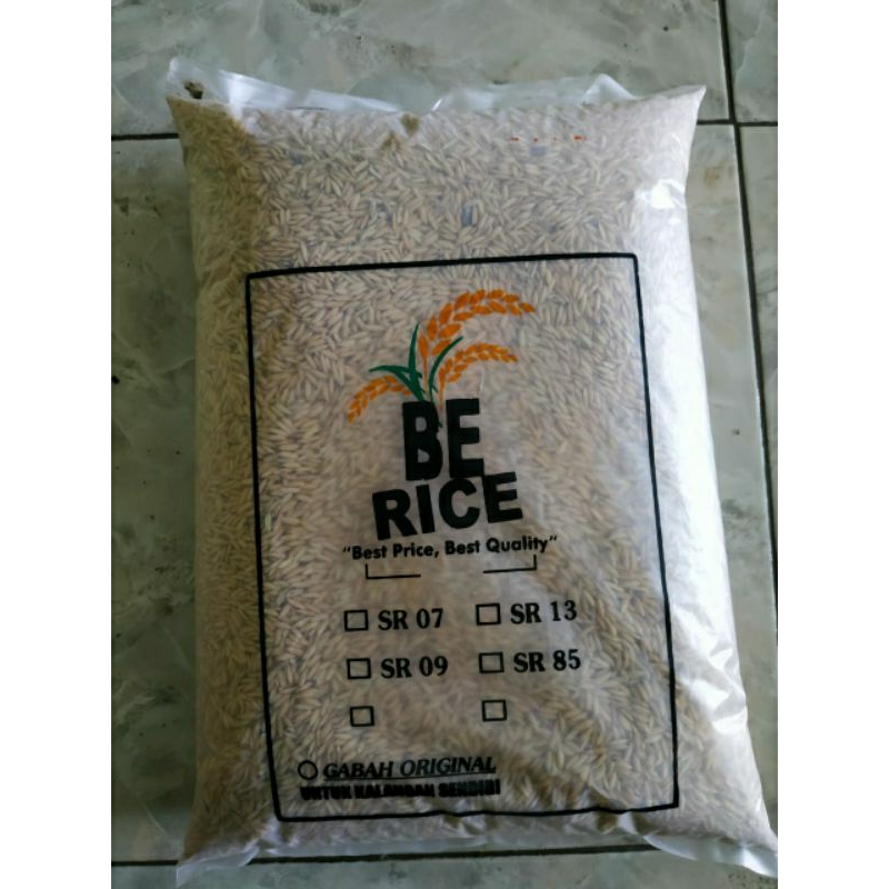 padi sakti genjah