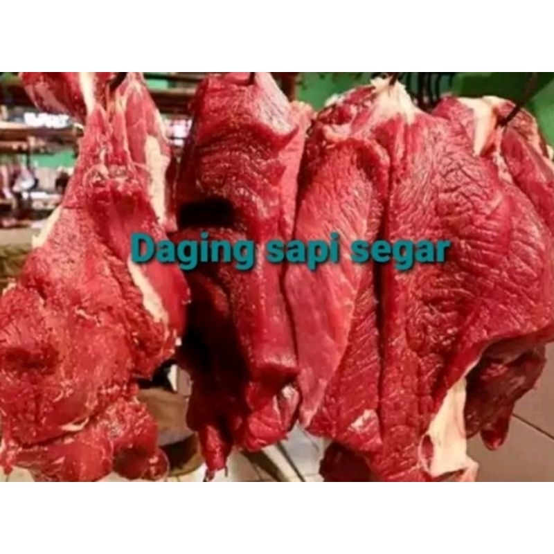 

daging sapi segar 250grm