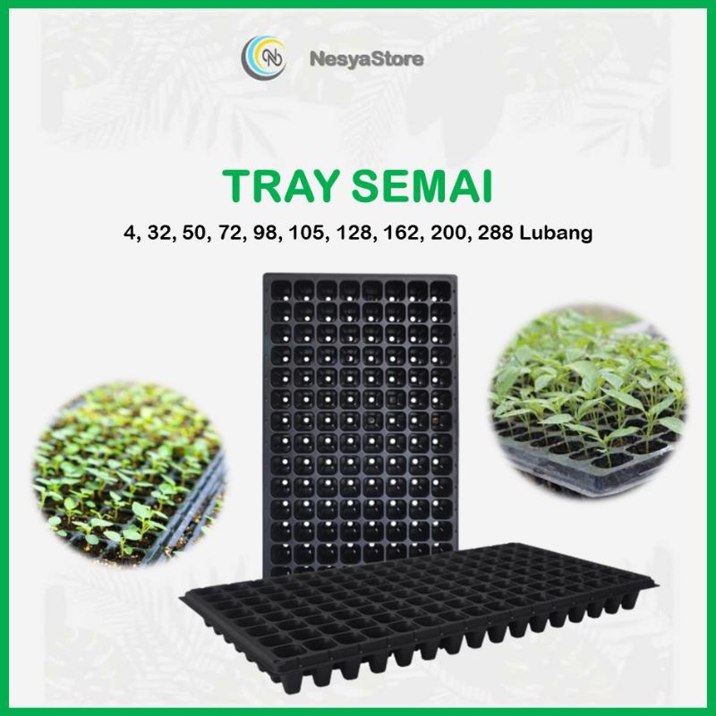 Tray Trai Semai Pot Tray 4 32 50 72 98 105 128 162 200 288 Lubang - Tray Semai