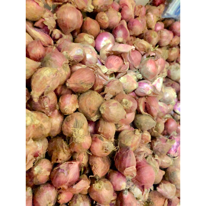 

Bawang Merah Curah 250 gram