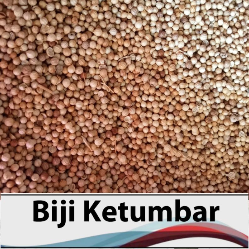 

Biji Ketumbar kering
