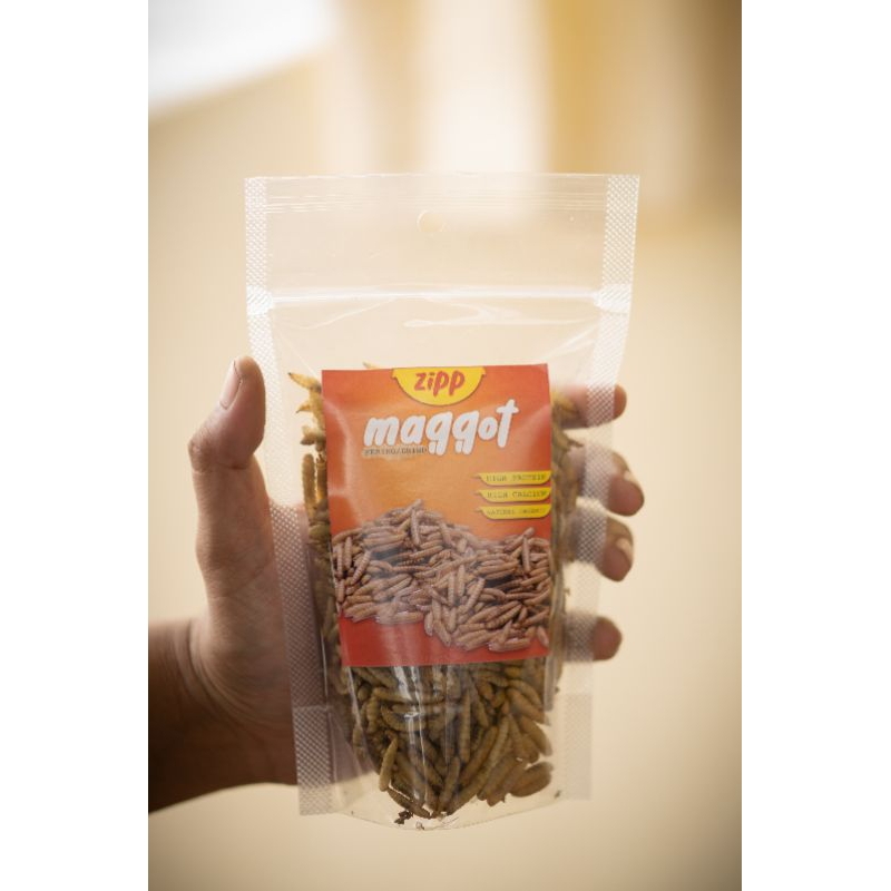 MAGGOT KERING PREMIUM 100GRAM