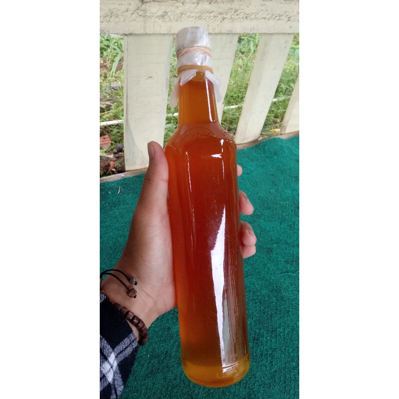 

Madu asli apis dorsata / madu lebah hutan asli 460 ml
