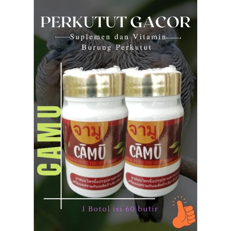 Promo CAMU Vitamin Perkutut Gacor Suplemen Perkutut Bangkok Lokal Super Gacor Burung