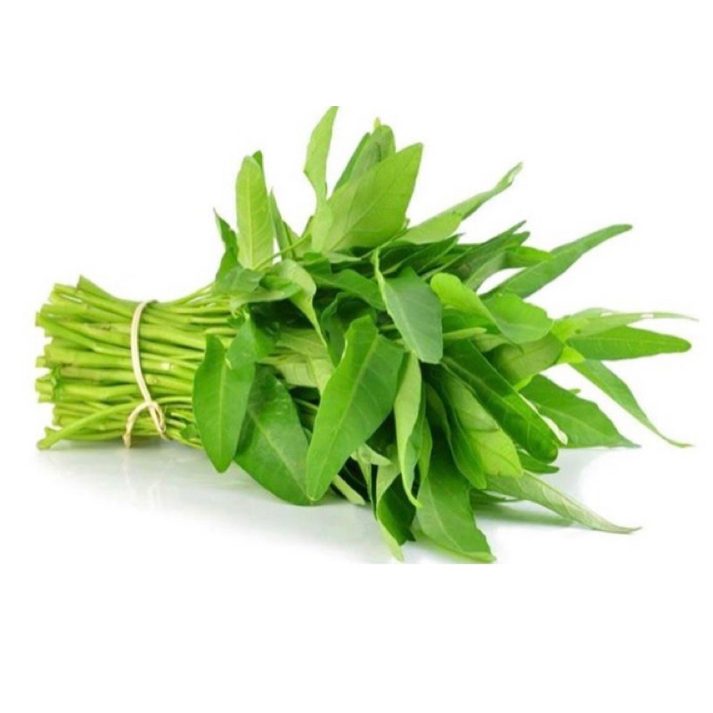 

Sayur Kangkung 1 Ikat (only jasa kirim instant)