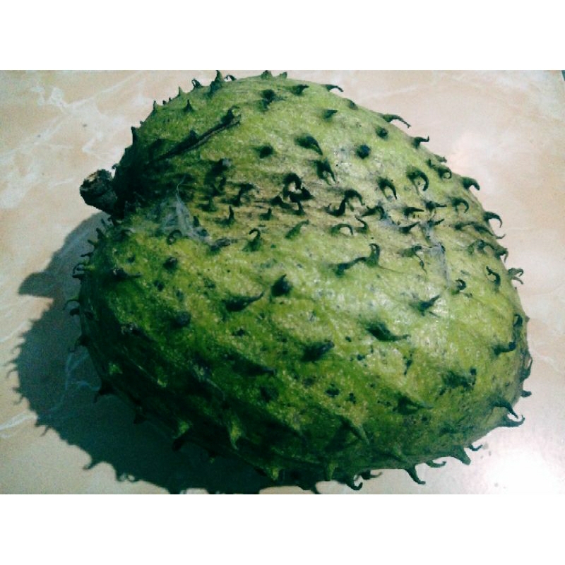 

BUAH SIRSAK /BUAH MULWO 500GR - 1kg DIKIRM KONDISI BLM MATANG TAPI SUDAH UMUR
