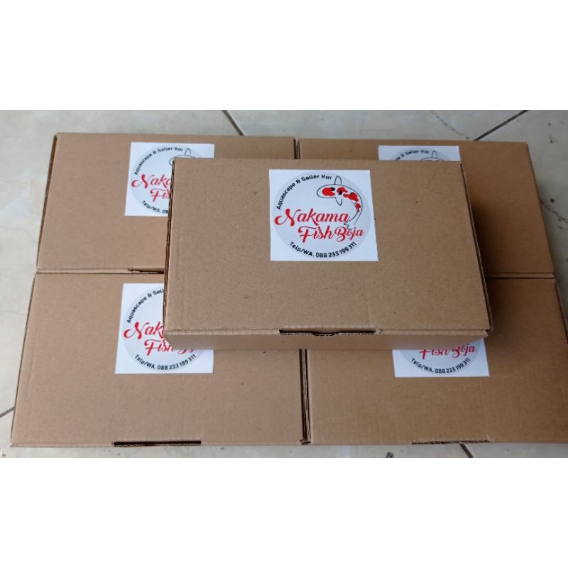 Rekber golden Tiger limbata