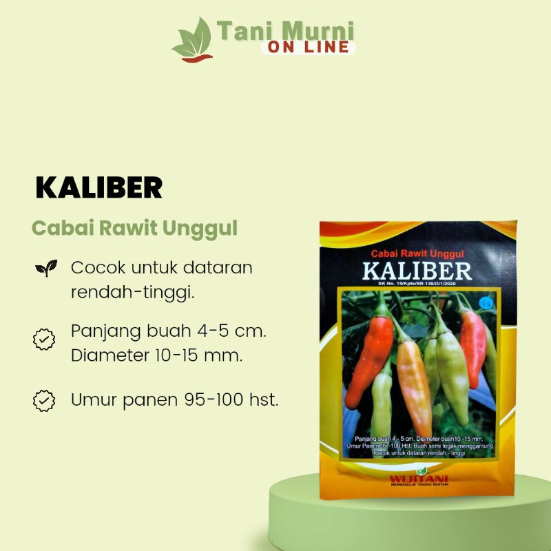 Benih Cabai Kaliber