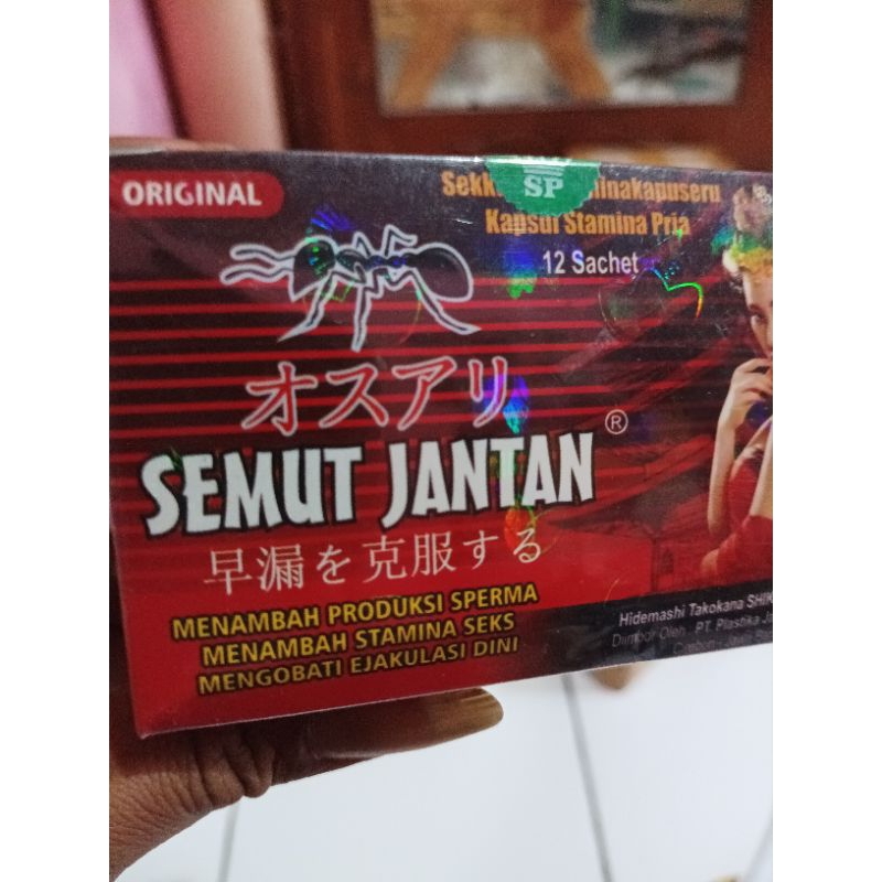 semut jantan africa black ant