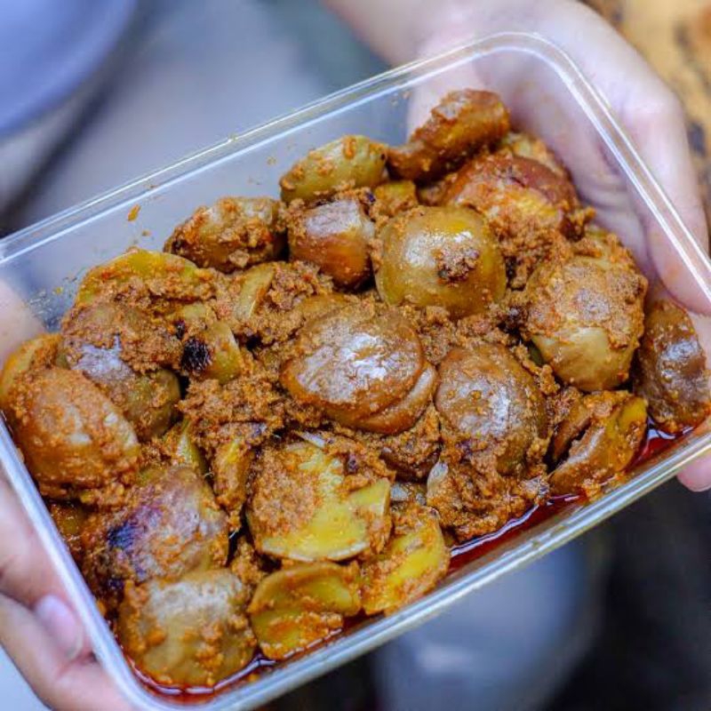 

RENDANG JENGKOL ASLI PADANG