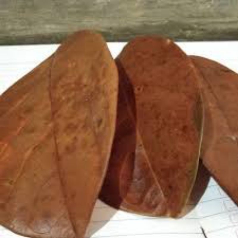 

Daun nangka kering 150lembar,Obat Herbal