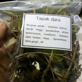 

ORIGINAL TERBAIK DAUN TAPAK DARA KERING 250 GRAM