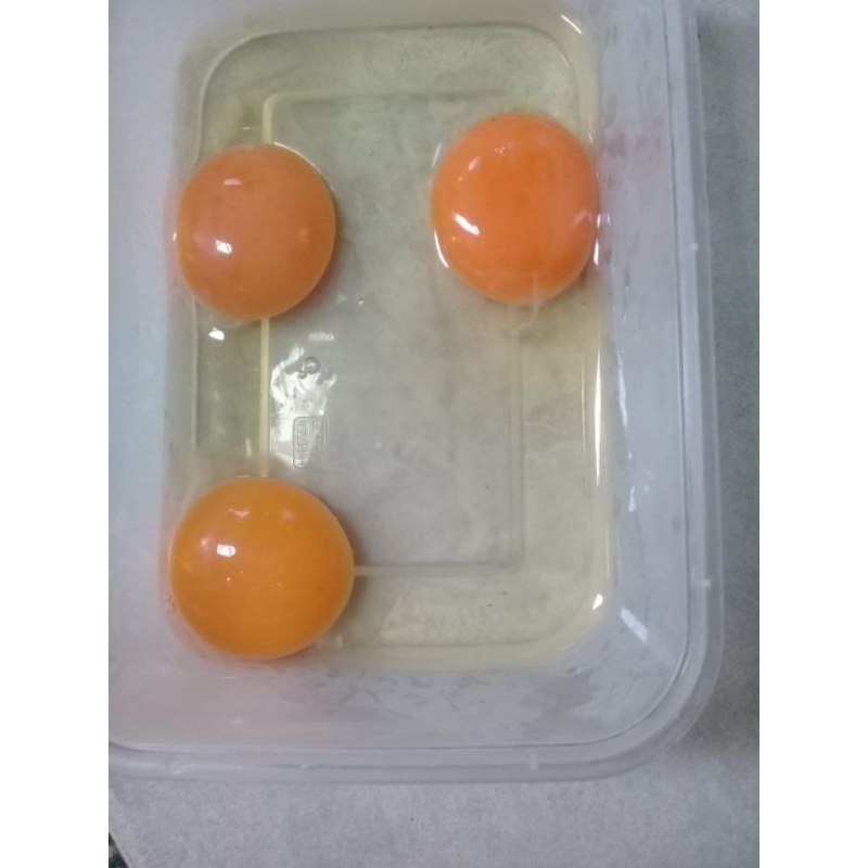 

Telur omega 1.5 kg
