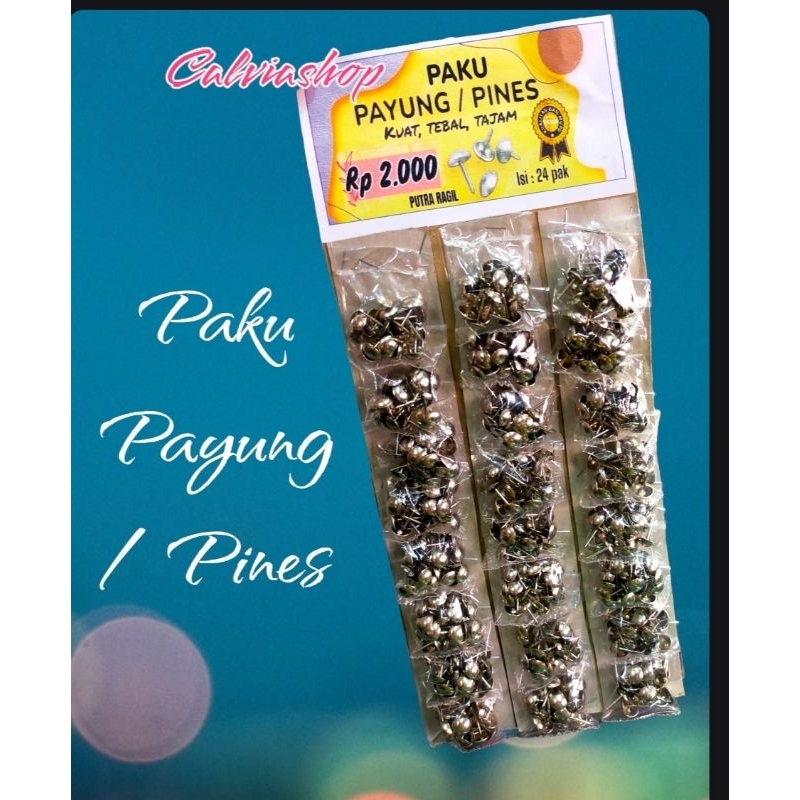 

paku pines / paku payung kecil / paku meja kursi
