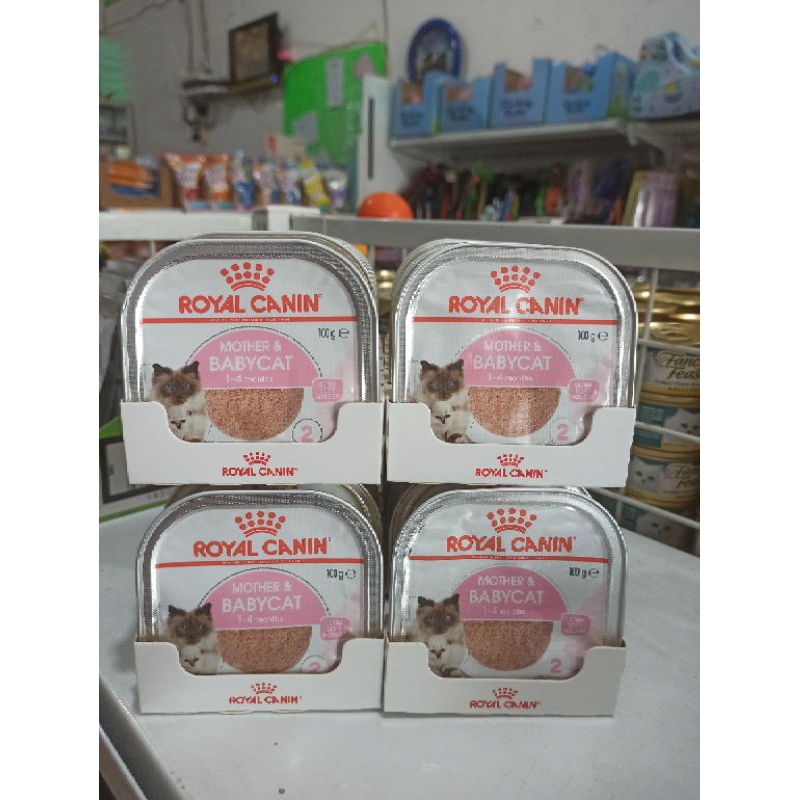 royal canin mother babycat wet 100gram rc baby cat makanan kucing