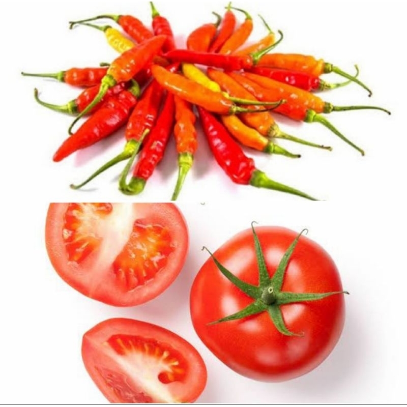 

Paket Tomat Campur Cabe Rawit Tiung