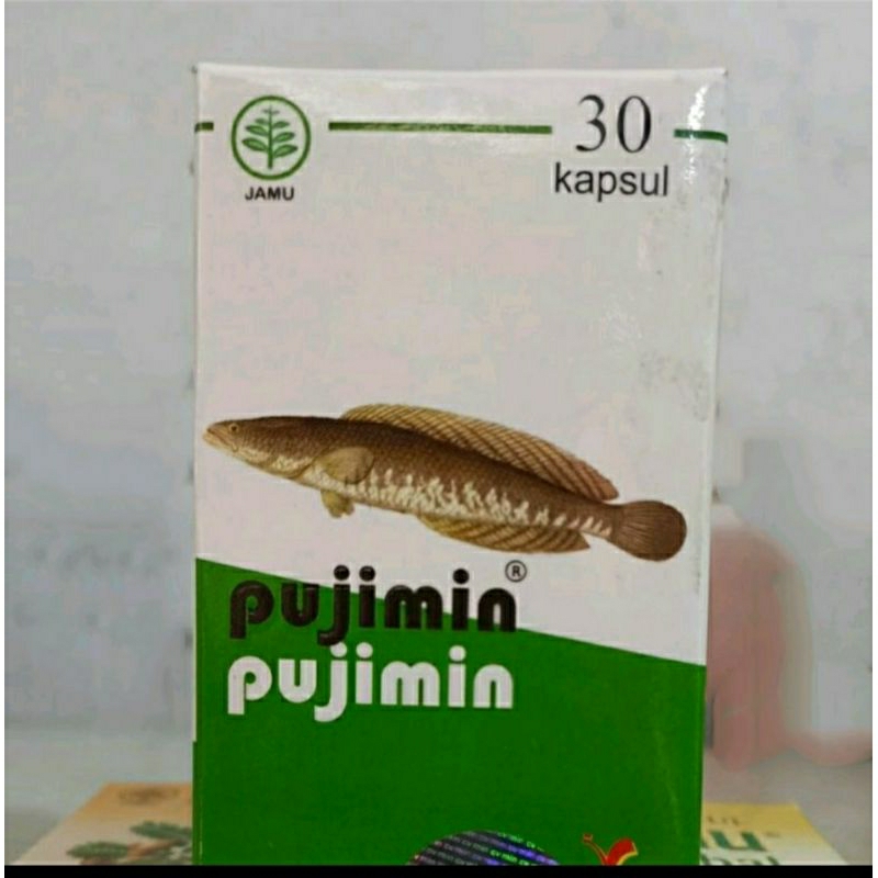 Pujimin kapsul ikan gabus