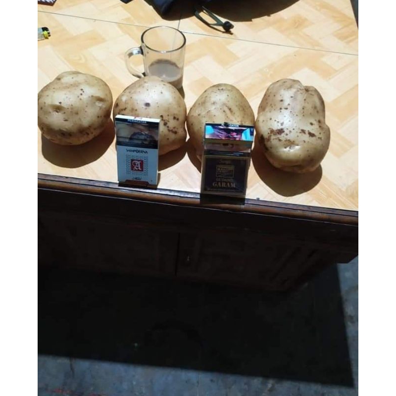 

Kentang Dieng Grade AB Grade 2 Premium