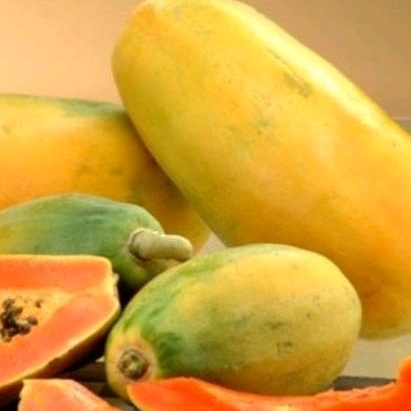 

Pepaya California 1 buah