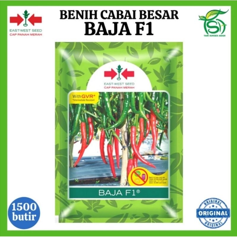 Bibit Benih Cabe Merah Besar BAJA F1 1500 Biji Original Cap Panah Merah