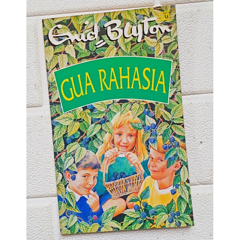 Enid Blyton: Gua Rahasia (Ori, Bekas, Preloved)
