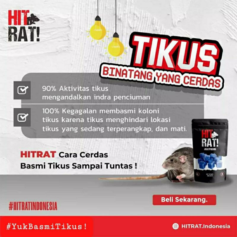 200 gram Racun Tikus Hit Rat Pembasmi Koloni Tikus Original Anti Tikus Solusi Basmi Tikus Secara Masal