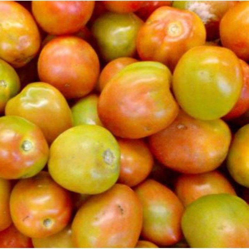 

TOMAT MERAH SEGAR 500 gr