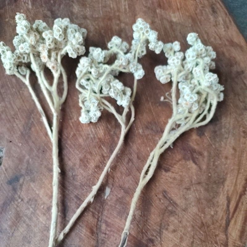 Bahan buket bunga Lamuran//rumput kering//bunga kering