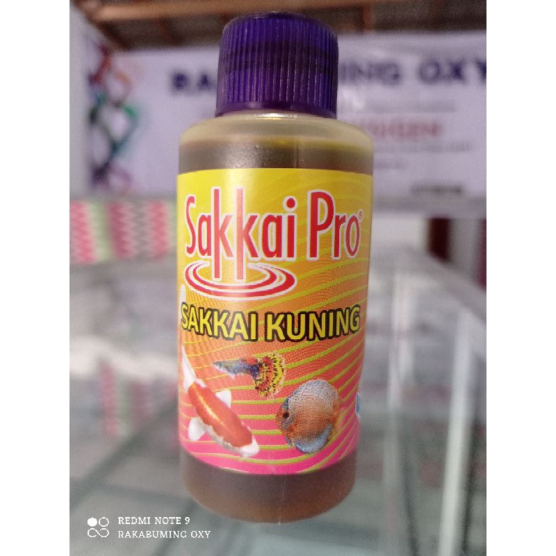 Sakkai Pro Sakkai Kuning