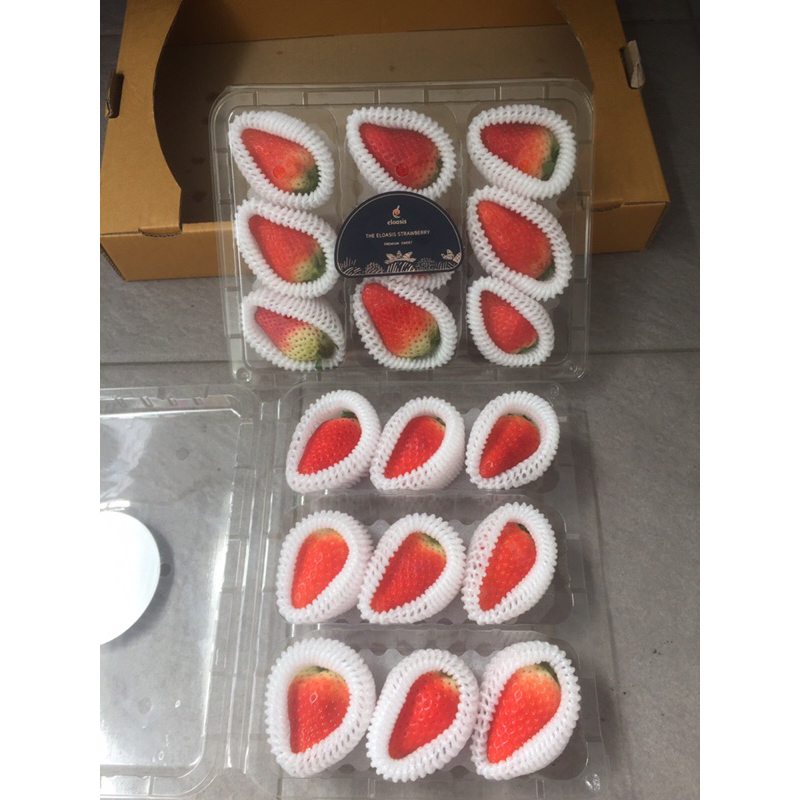 

Buah Strawberry Kings Berry Eloasis Korea 1 Dus (2 pack) Fresh Import