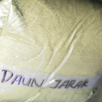 

MURAH DAUN BUBUK JARAK KERING 500 GRAM
