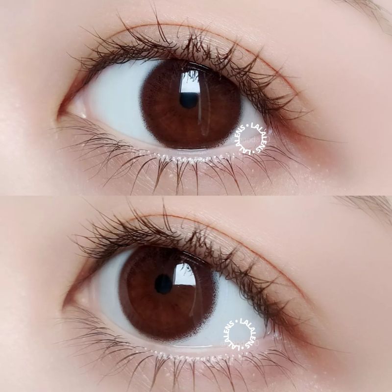 LEXYLENS - MANGO BROWN | DIA 14.2Mm | NORMAL SD -10.00 | SOFTLENS DIAMETER KECIL | SOFTLENS MINUS TI