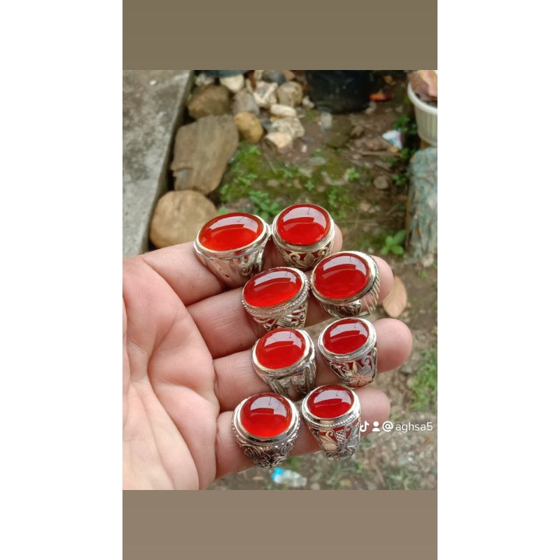 Batu Red Raflesia