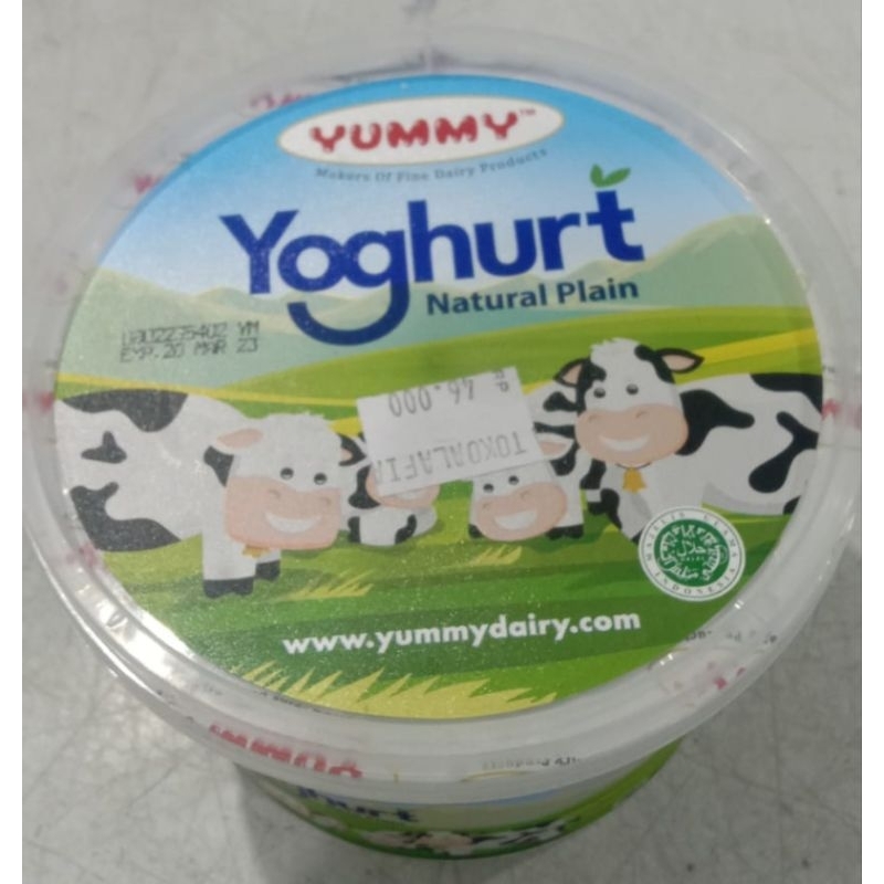 

Yoghurt Natural Plain Yummy 500gram / Yogurt