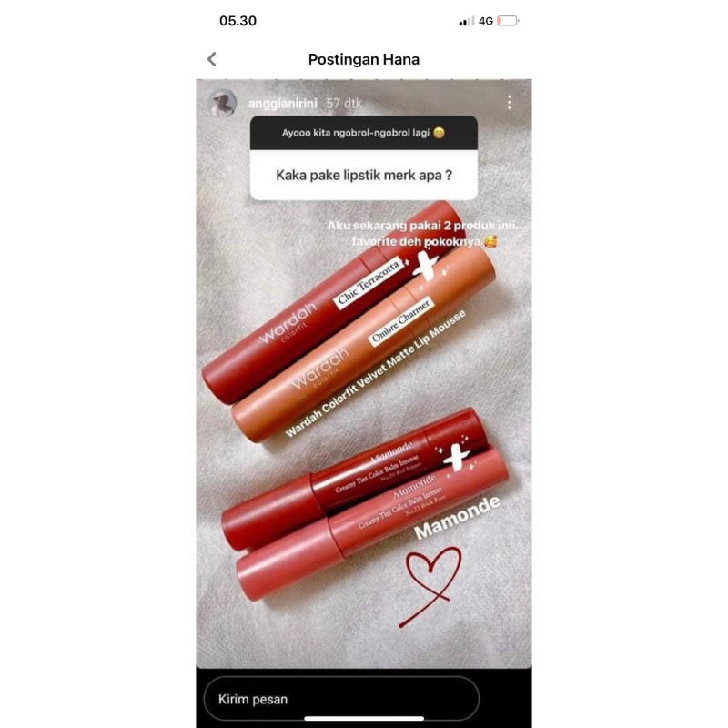 wardah velvet matte lipstik