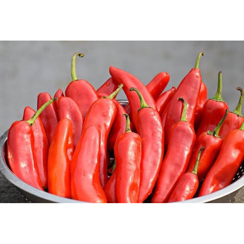 

Cabai Merah Besar / Cabai Gede / Cabe TW 100 gr