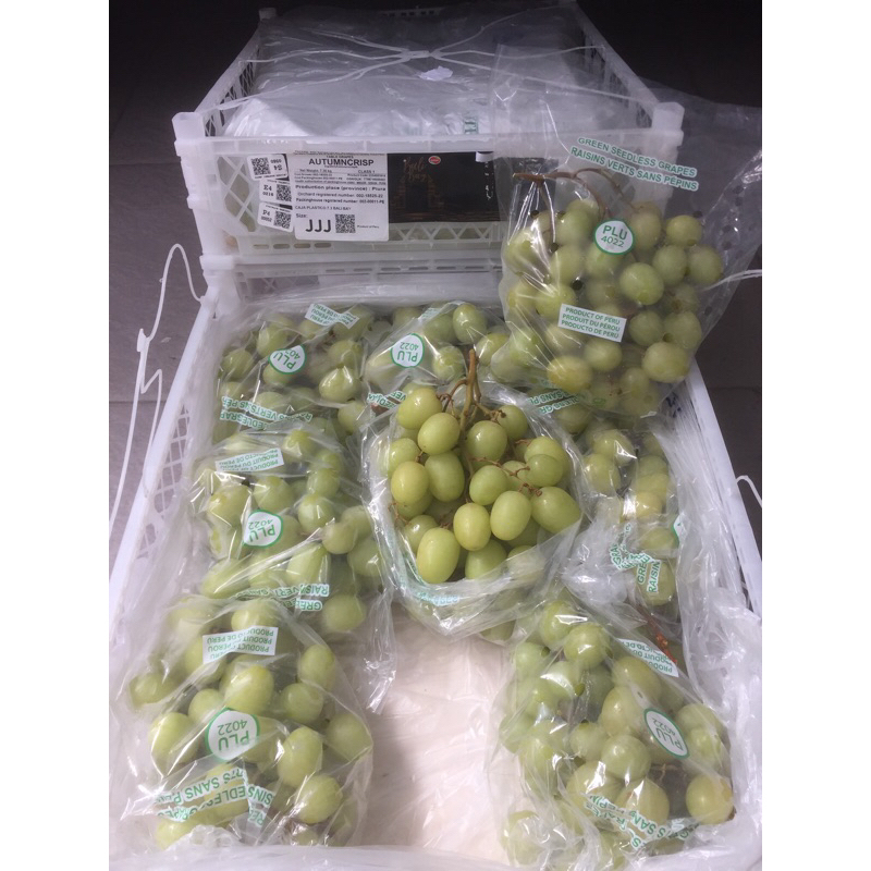 Anggur Hijau Autumn Crispy Peru 1 Dus (7 KG) Fresh Import