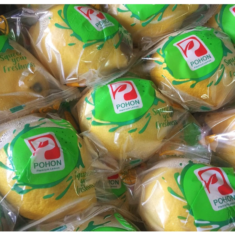 Lemon Import Segar - Lebih Banyak Air dan Menarik | Lemon Alpucado