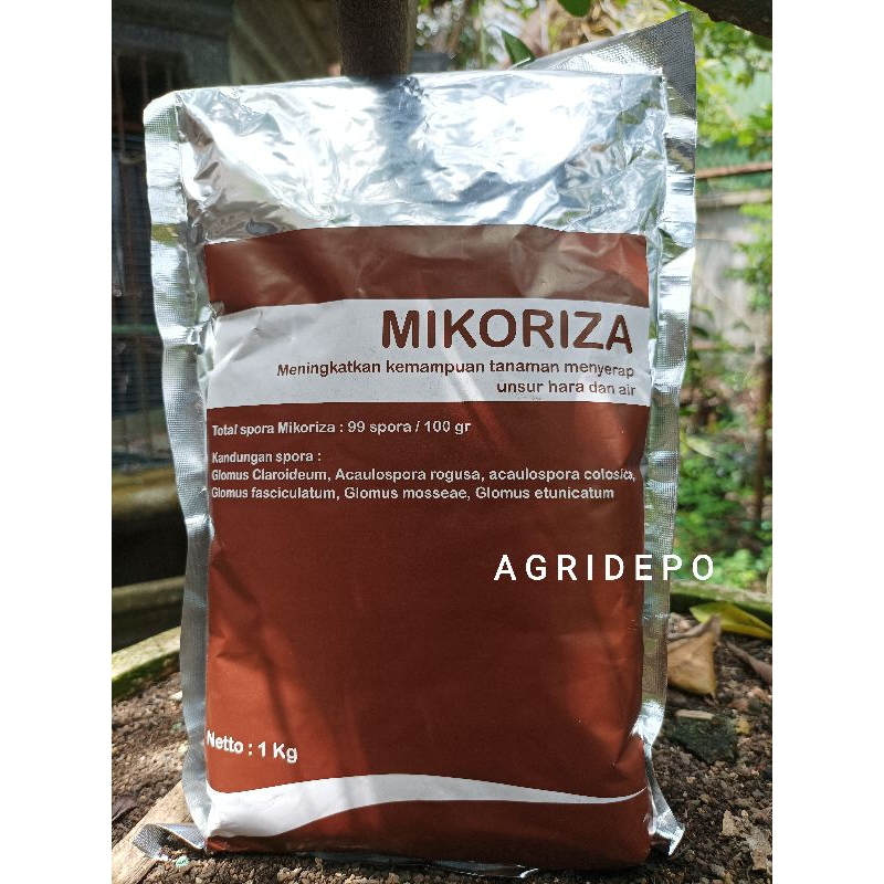Pupuk Hayati MIKORIZA 1 KG