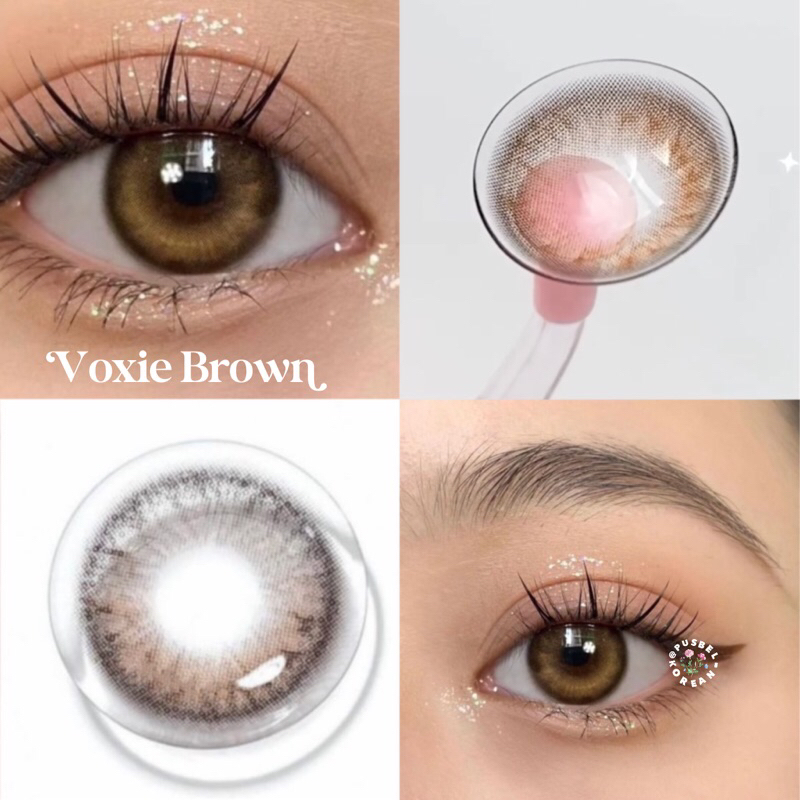 pusbel korean softlens voxie brown original korea