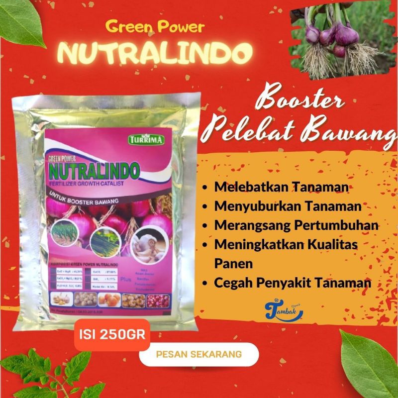 Nutrisi Bawang Merah terbaik, Pupuk Booster Daun Bawang Merah, Pupuk boster Pencegah Daun Bawang Lay