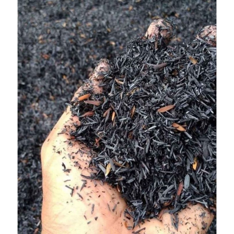 Sekam bakar arang sekam 1kg media tanam arang padi