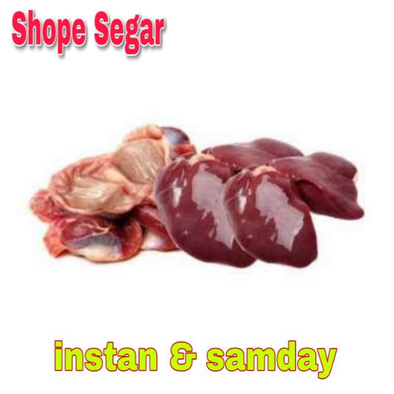 

Ati Ampela Ayam 5 Pcs [ 5 pasang ]