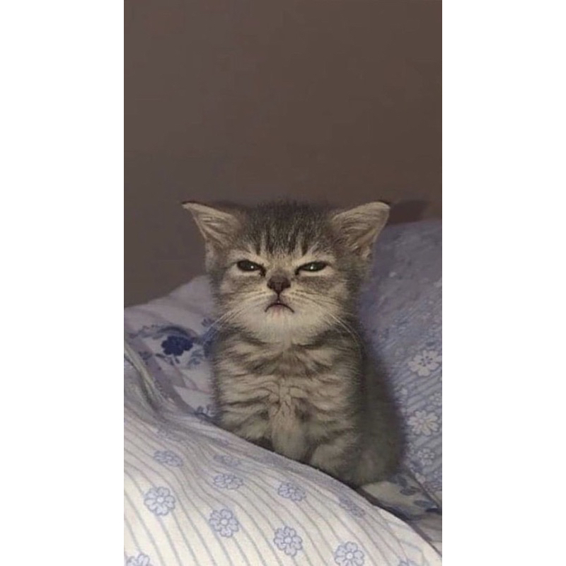 (Booked) Jaemin SG18