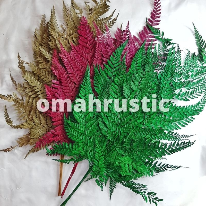 Daun Pakis / Daun Pakis Kering / Daun Hiasan Mahar / Daun Hiasan Dinding / Bahan Kerajinan Tangan / 