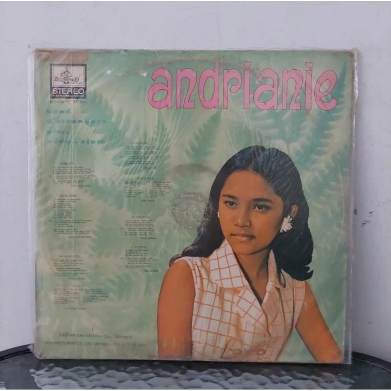 Vinyl Piringan Hitam 12 inch Hudjan-Andrianie