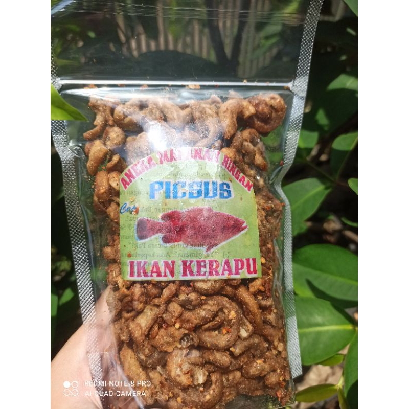 

aneka pedesan picus, sotong