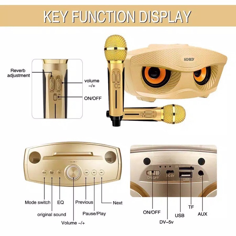 Speaker karaoke bluetooth SD 306 dengan 2 microphone wireless