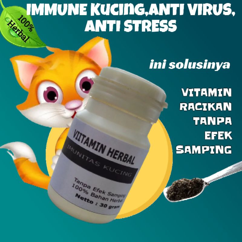 Vitamin imun kucing daya tahan tubuh